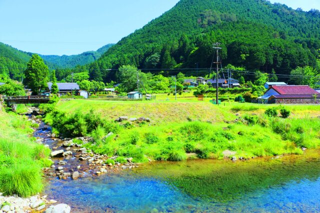 夏の里山