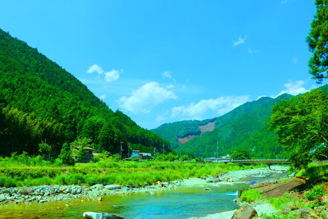 夏の里山