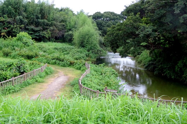 川の公園の遊歩道