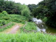 川の公園の遊歩道