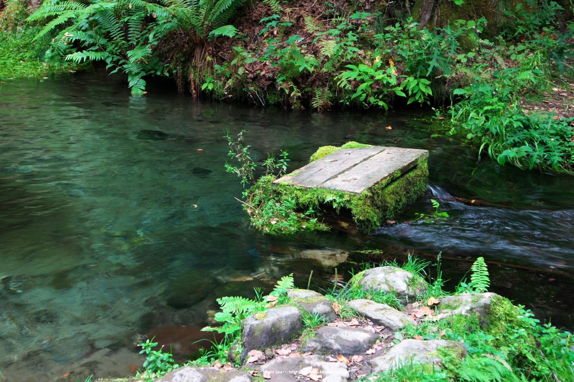 日本の風景 癒し 壁紙19x1280 壁紙館