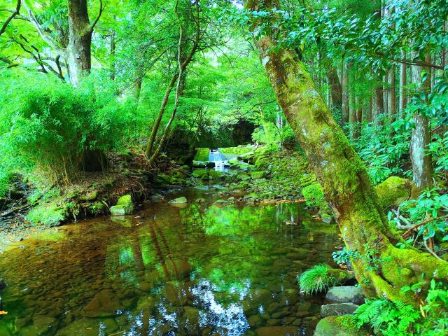 熊野古道