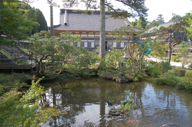 夏の日本庭園(総持寺祖院)2020