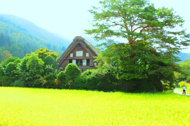 白川郷