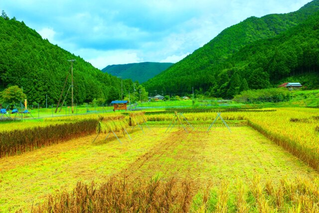 秋の里山