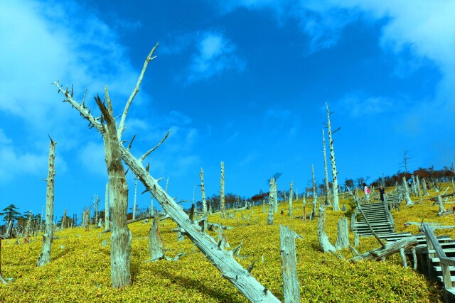 大台ケ原