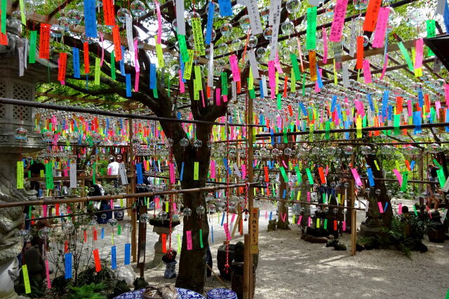 彼岸の頃にお寺の境内で