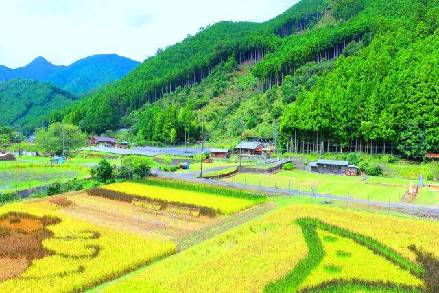 秋の里山