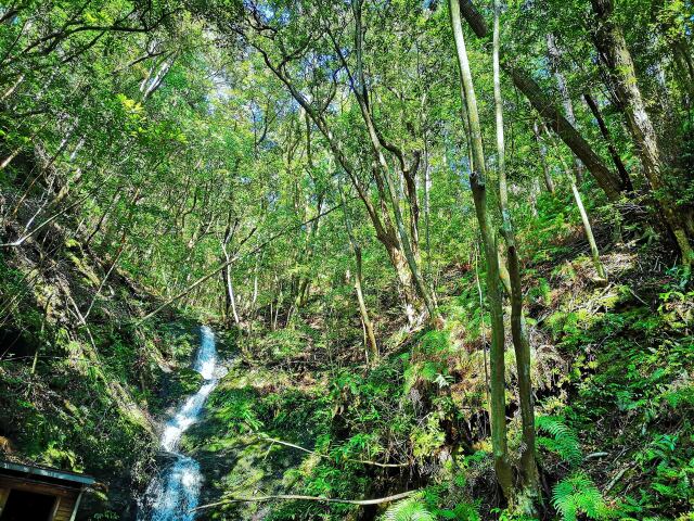 熊野古道