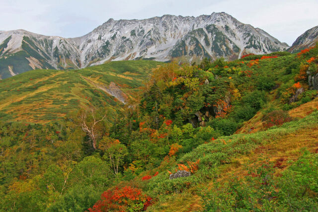 立山初秋