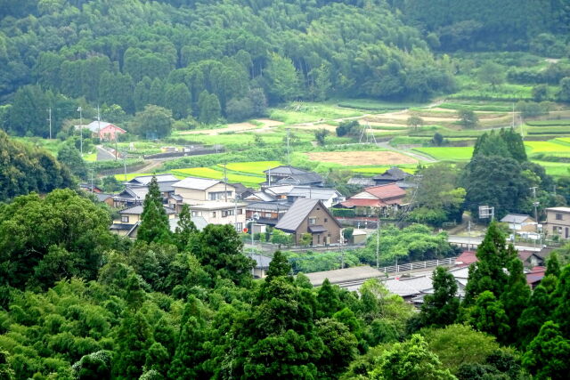 晩夏の山里風景