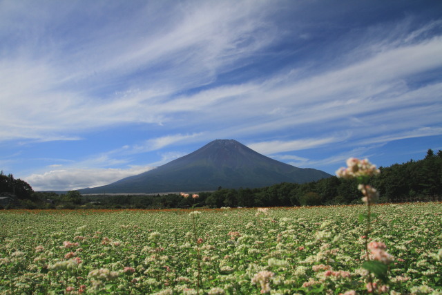 秋の風景