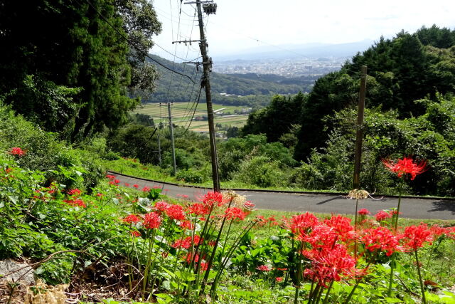 棚田へ行く途中の山道で