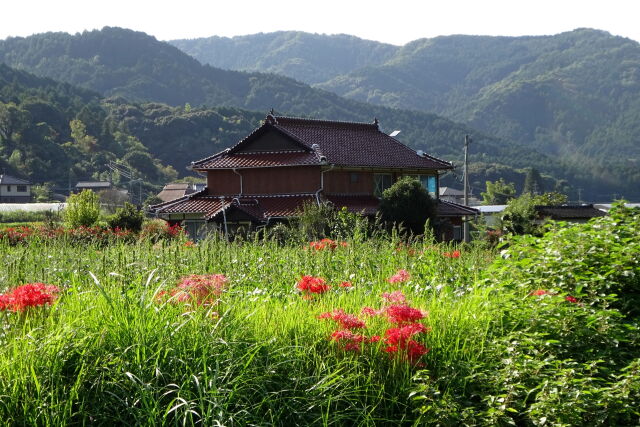 静かな里の集落