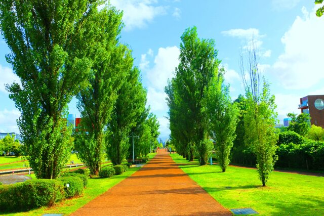 富岩運河環水公園