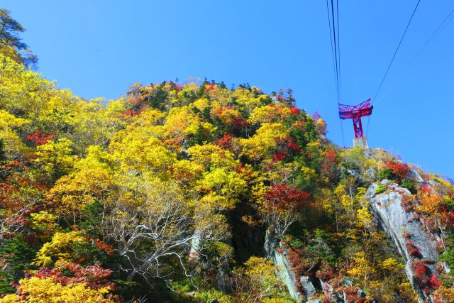 駒ヶ岳ロープウェイ