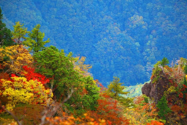 大台ケ原