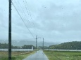 雨にも負けず