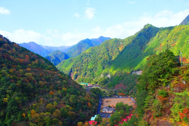 秋の紀伊山地