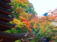 談山神社