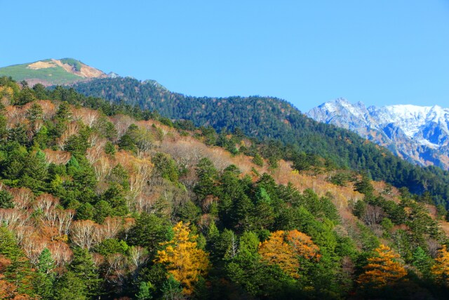 上高地