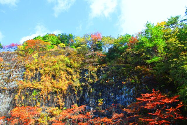 紀伊山地紅葉