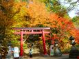 談山神社