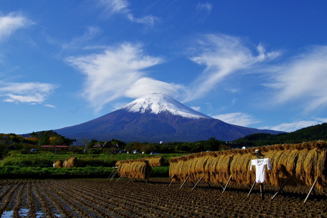 案山子と富士山