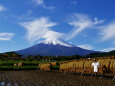 案山子と富士山