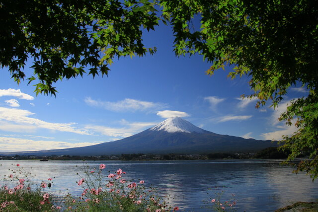 心安らぐ風景