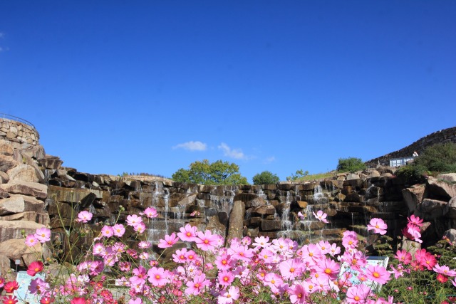 まんのう公園竜頭の滝