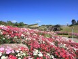 10月のまんのう公園