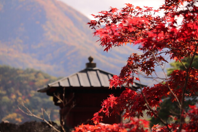 山寺の紅葉