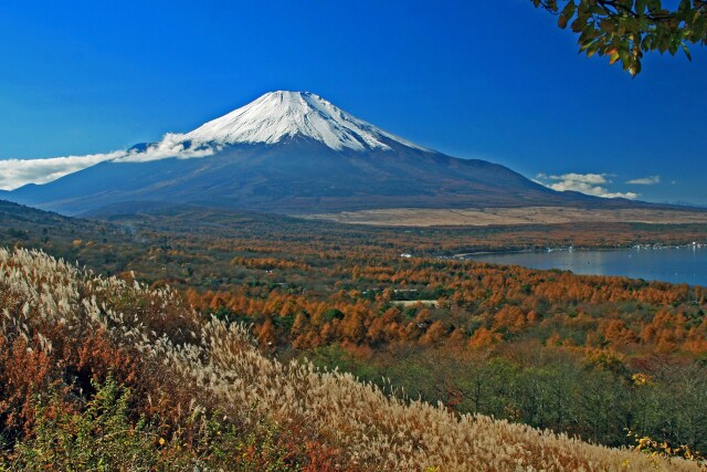 秋の富士山