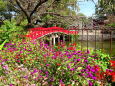 神社の前のにぎやかな花壇