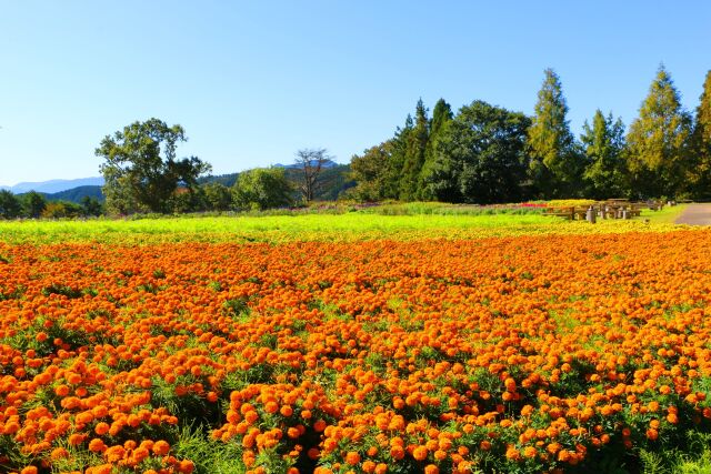 メナード青山ハーブガーデン