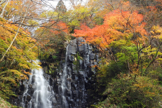 滝と紅葉