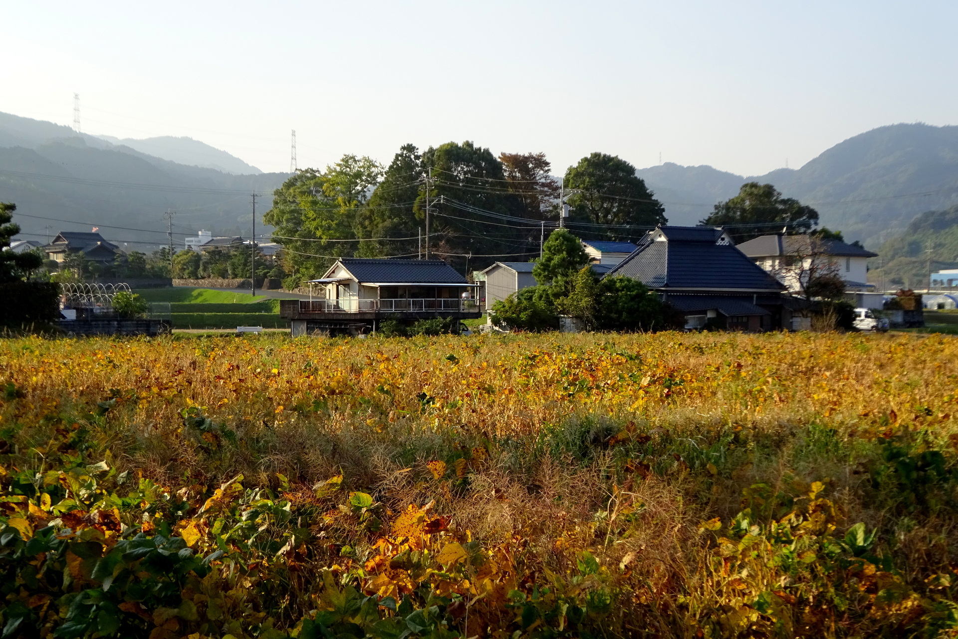 日本の風景 里の夕暮れ 壁紙19x1280 壁紙館