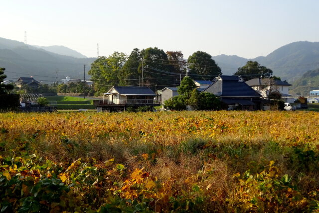 里の夕暮れ