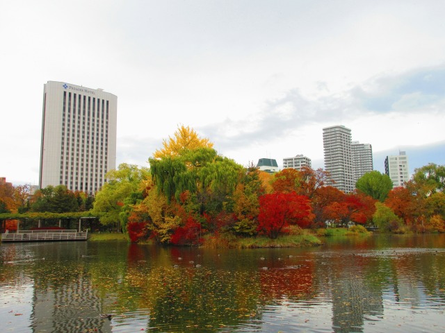 中島公園 菖蒲池