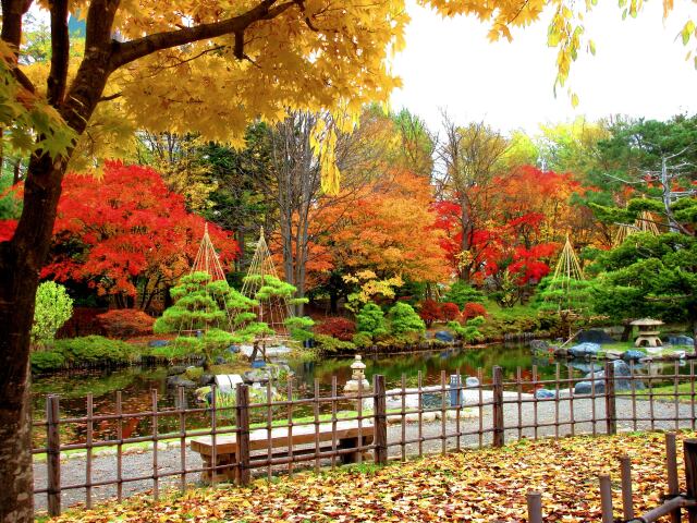 紅葉の日本庭園