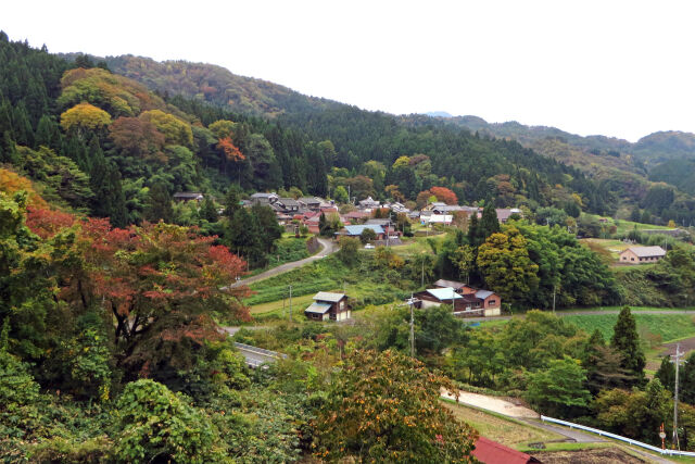 秋 山村