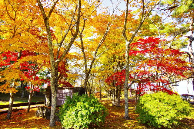 山中湖畔の紅葉