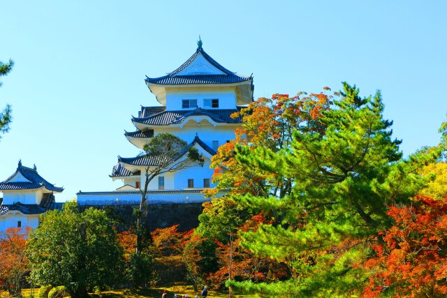 伊賀上野城