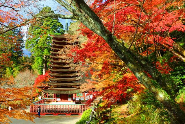 談山神社