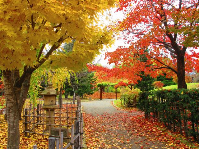 日本の風景 紅葉の日本庭園 壁紙館