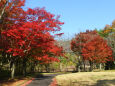 秋の公園で