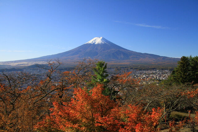 新倉山浅間公園の紅葉