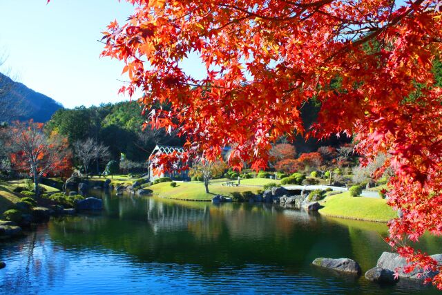 秋の公園