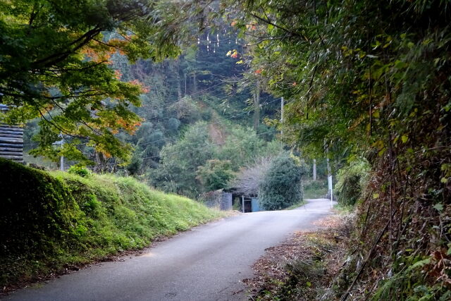 山村の道